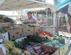 Martin's fresh vegetable truck.